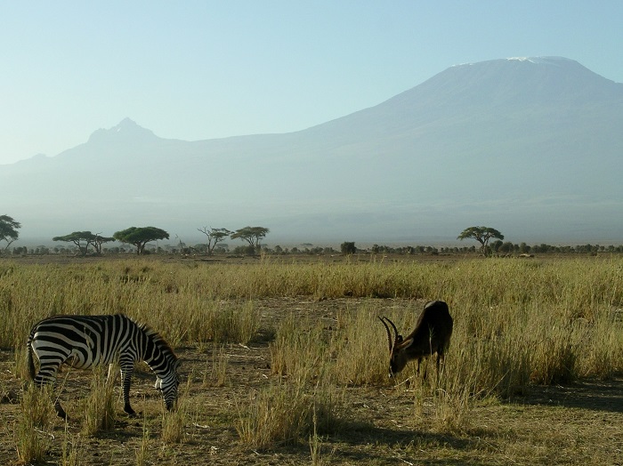 Kilimanjaro Amboseli