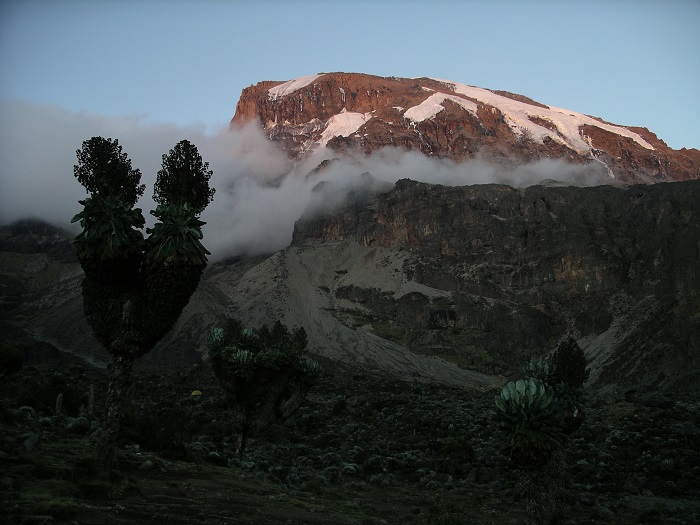 Kili in Griffnähe