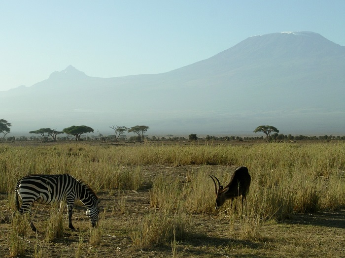 Kilimanjaro Amboseli Kilimanjaro Amboseli