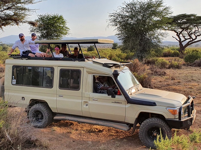 safari landcruiser